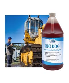 4/1G Big Dog Image 1