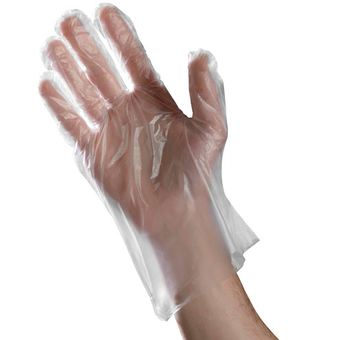 500/bx LG Food Service Disposable Glove